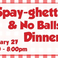 Spay-ghetti & No Balls Dinner