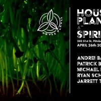 House Plants at Spirit