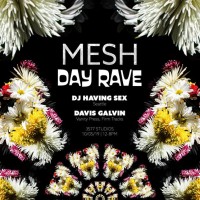 MESH: Day Rave