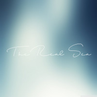 The Real Sea, Good Sport, Mariage Blanc